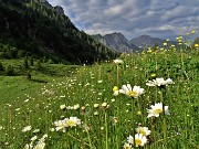 Baite di Mezzeno-Lago Branchino, festa di fiori-16giu23 - FOTOGALLERY